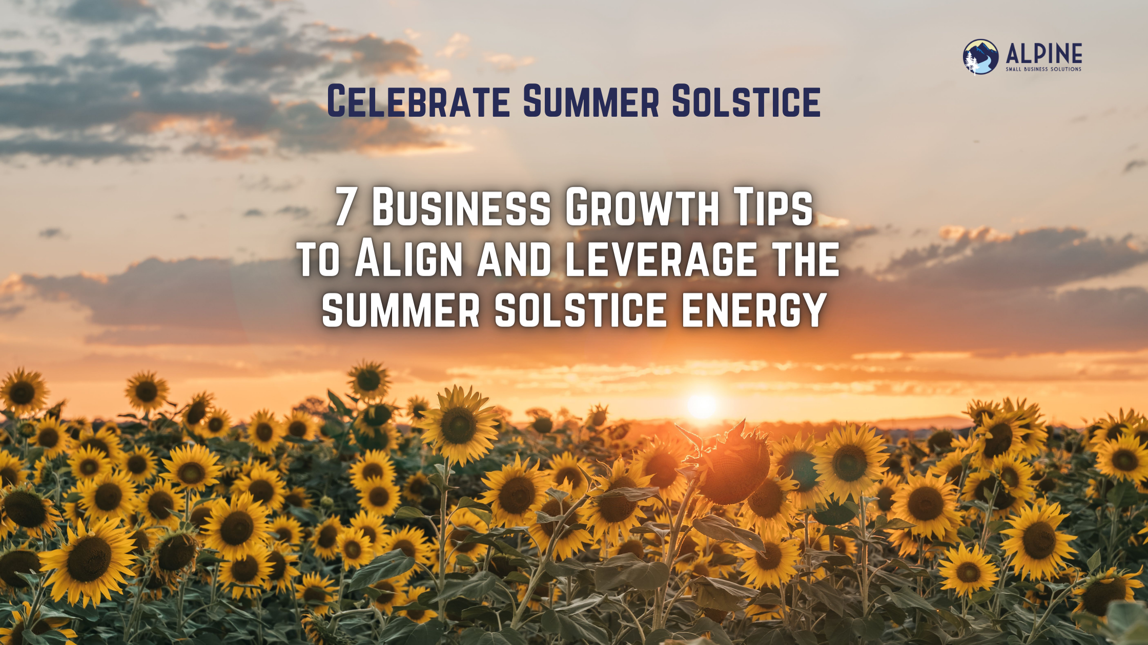 Celebrate Summer Solstice with These 7 Business Growth Tips 🌞